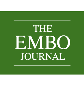 The EMBO Journal Logo